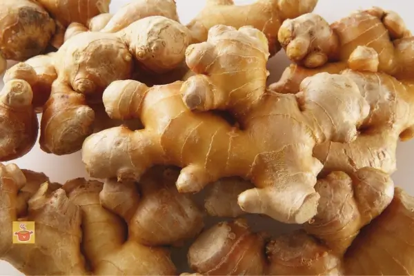 Benefícios do Gengibre para tua saúde